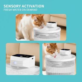 2000ML Wireless Pet Drinking Fountain, 2500mAh Rechargeable, Motion Sensor Circulating Running Water Bowl For Kittens Puppies (Option: WHITE)
